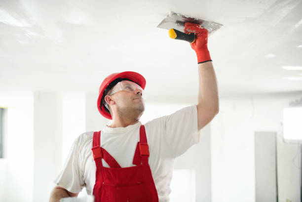 Mold Removal for HVAC Installations in Pembroke Park, FL