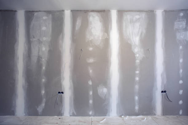 Best Mold Prevention Services  in Pembroke Park, FL